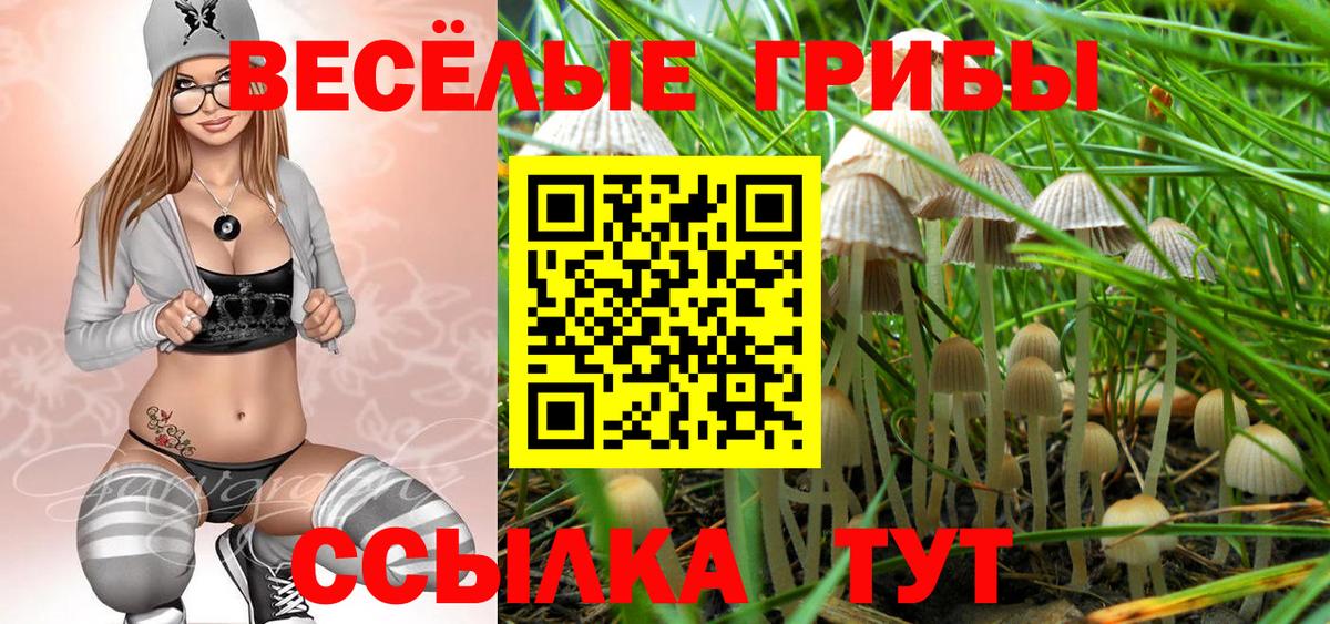 Псилоцибиновые грибы мицелий  Псилоцибиновые грибы мицелий  Можайск  Вход с VPN 